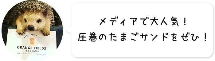 メディアで大人気！圧巻のたまごサンドをぜひ！